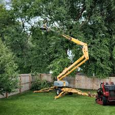 Trusted Westville, IL Tree Services Experts